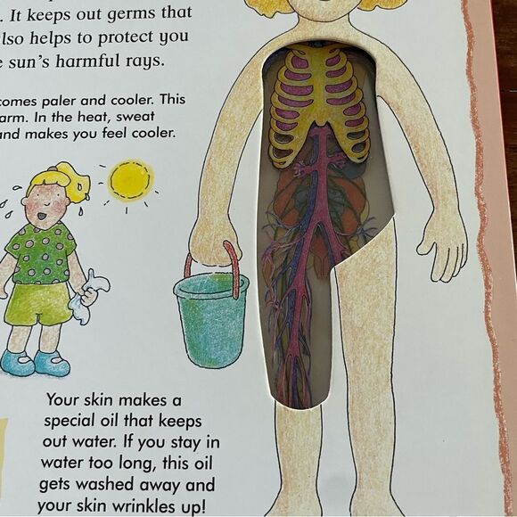 Bundle of 2 Human Body Science Books - Brain and Look Into My Body - Picture 9 of 12